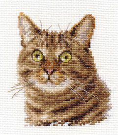 Набор для вышивания 0-135 «Европейский кот» от магазина Маленькая-иголка